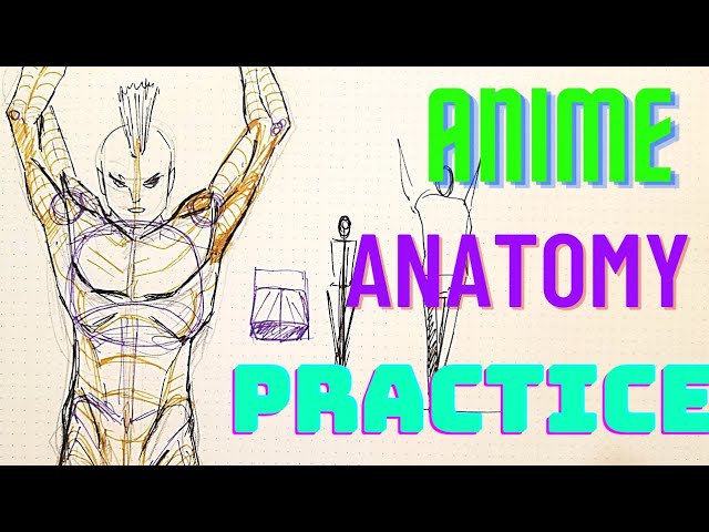 Drawing Anime Anatomy Practice  Sketchbook Drawing  Anime Manga Sketch   YouTube