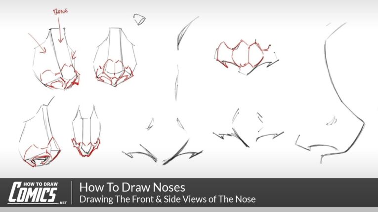 How To Draw Noses: Drawing The Front and Side Views of The Nose