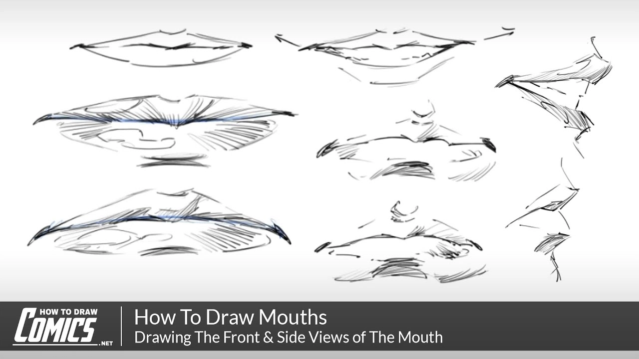 Clayton Barton - HowToDrawComics.NET on X: In this class you'll learn how  to draw the female head, face and facial features from the top down, side  view. Click the link below to