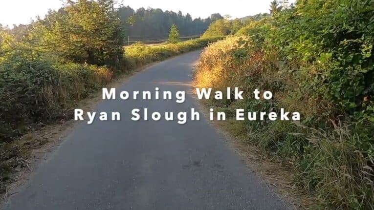 BEAUTIFUL MORNING WALK To Ryan Slough in Eureka California, Nature GO PRO HD