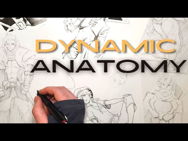How to Draw Dynamic Anatomy - Step by Step